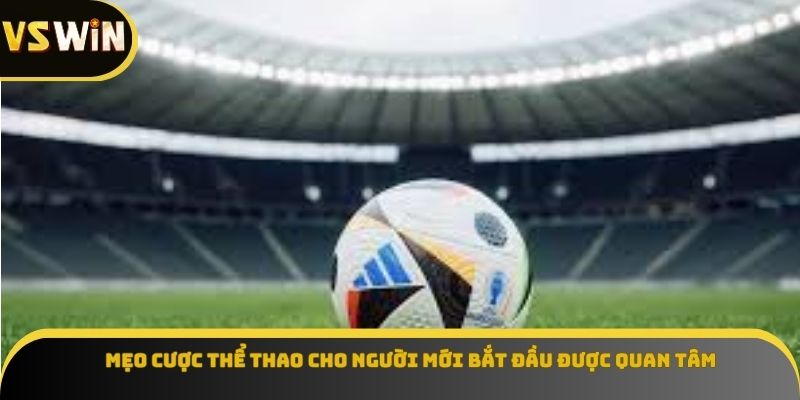 Mẹo cược thể thao cho người mới bắt đầu được quan tâm